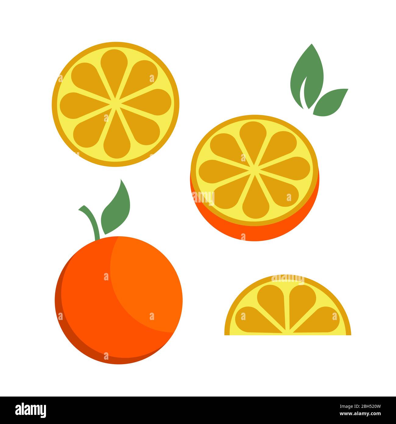 Orange citrus parts set half fruit icon bright art vector Stock Vector
