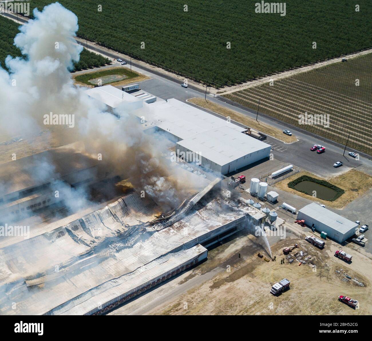 Modesto, California, U.S.A. 23rd Apr, 2020. Upwards of 500,000 chickens