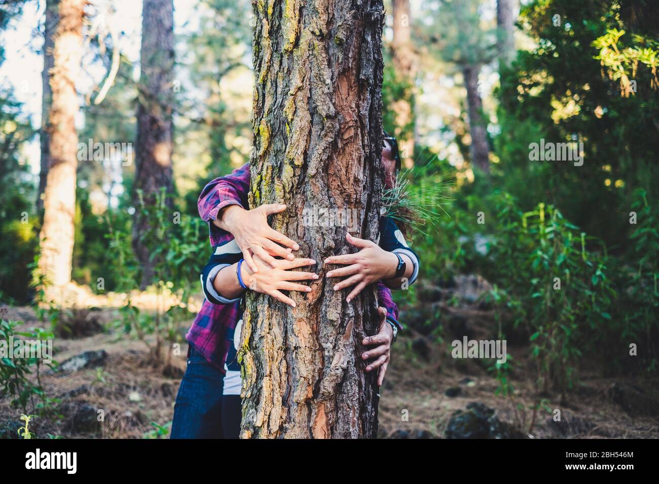 Couple embracing tree in forest Stock Photo