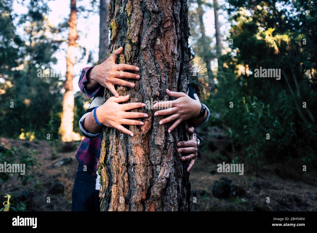 Couple embracing tree in forest Stock Photo