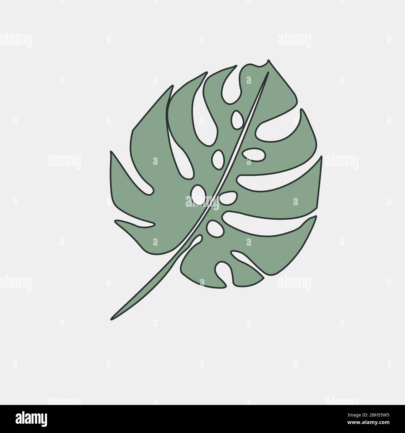 Tropical jungle monstera leaf Stock Vector Images - Alamy