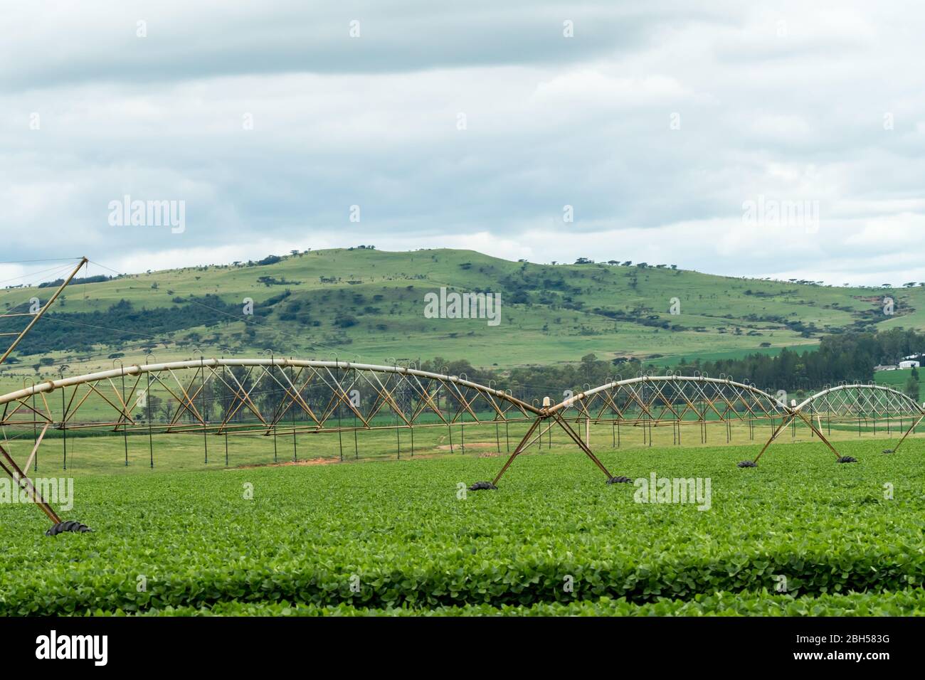 centre pivot irrigation, water wheel, circle irrigation a form of overhead sprinkler which is a method of crop irrigation on a farm in South Africa Stock Photo