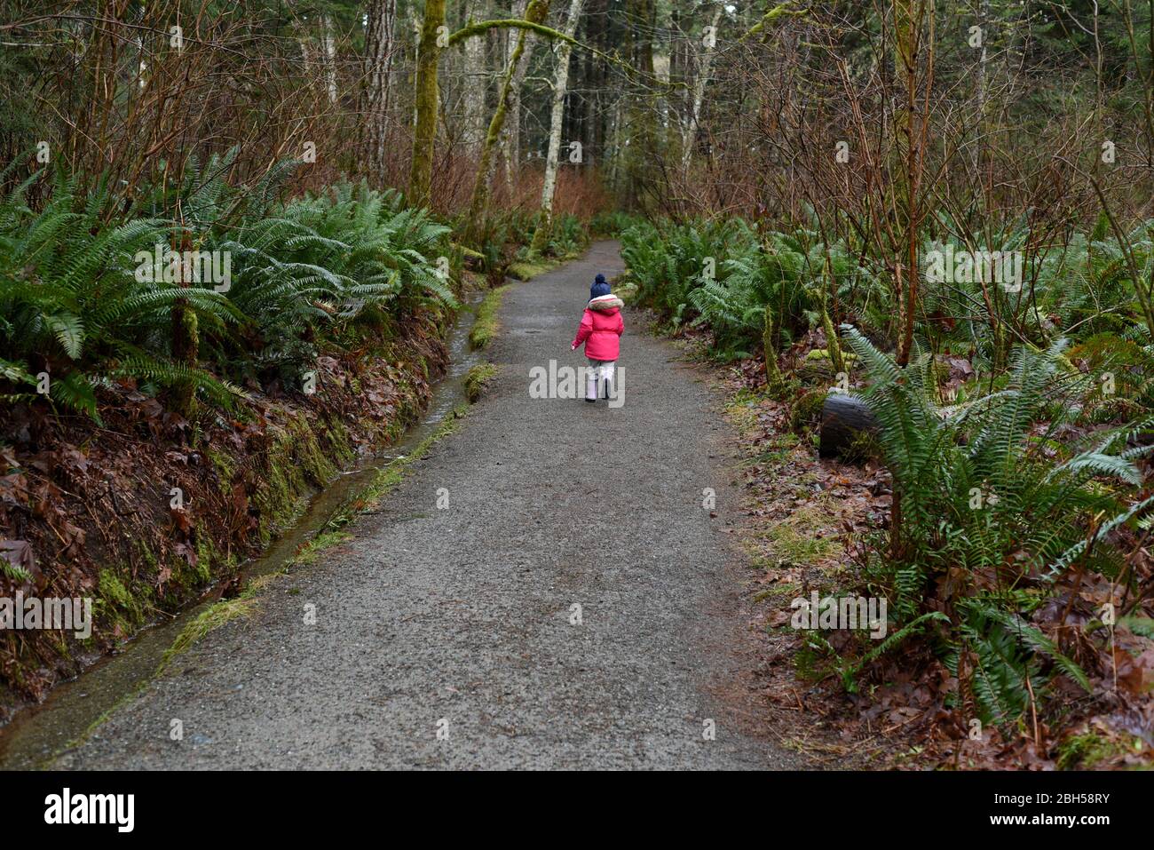 A young girl, wearing a pink winter coat and toque, runs down a path between green ferns in a park near Comox and Courtenay British Columbia, Canada o Stock Photo