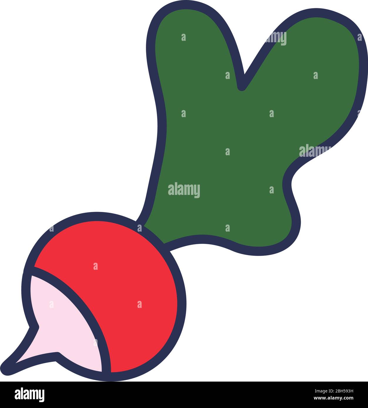 fruits and vegetables concept, radish icon over white background, line ...