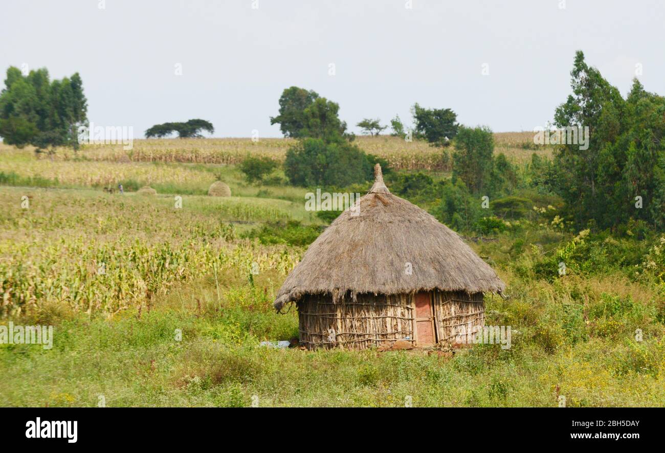 A traditional hut in rural Ethiopia. Stock Photo
