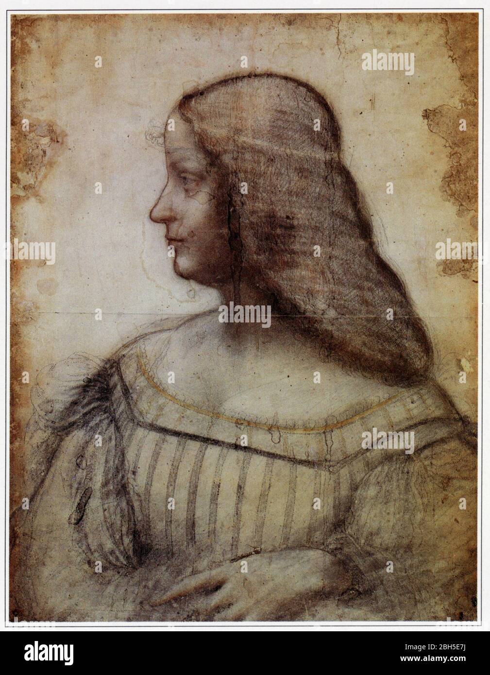 Leonardo da Vinci. Portrait of Isabella d'Este. 1500 Stock Photo - Alamy