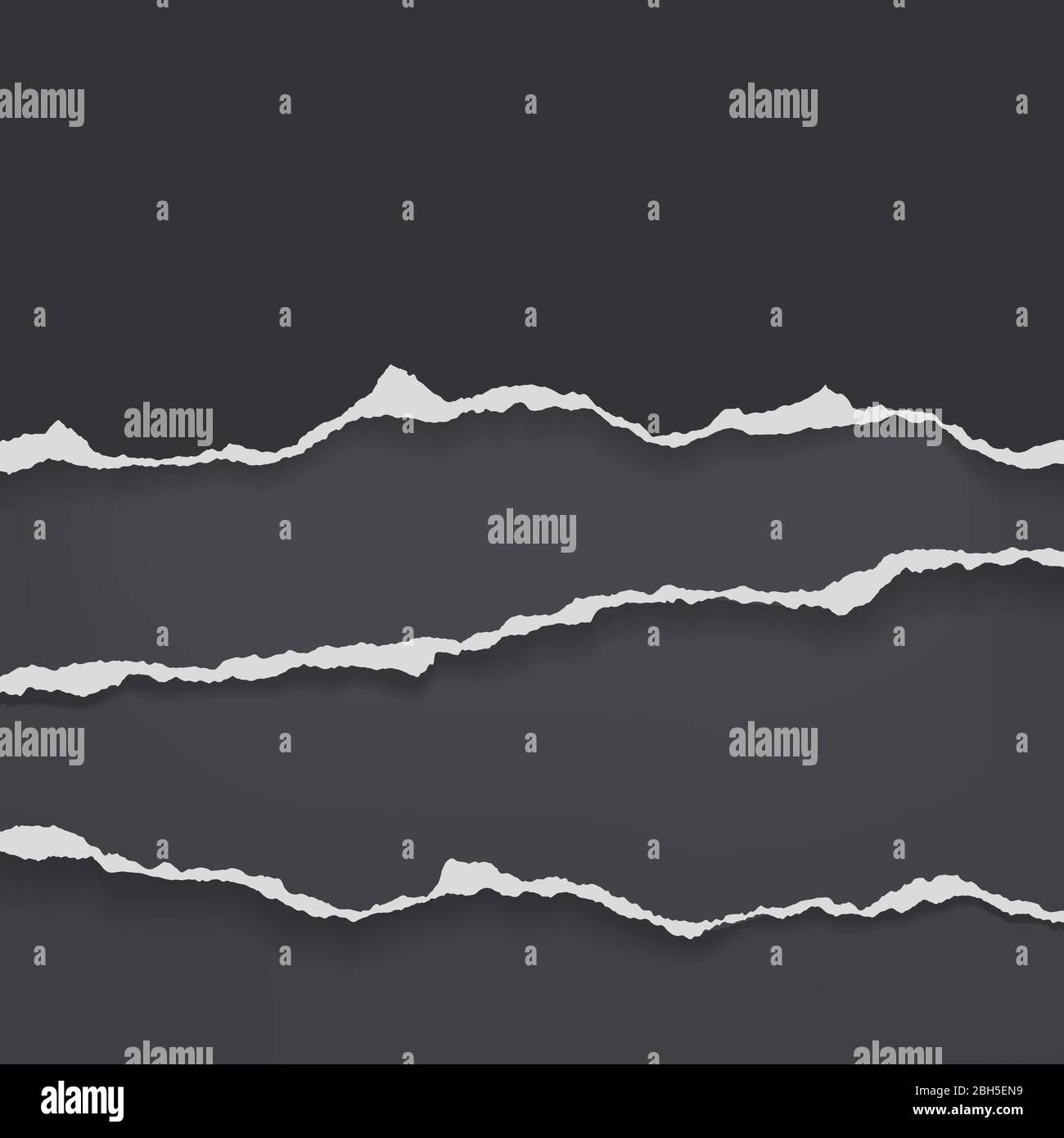 Torn, ripped pieces of horizontal black and white paper with soft ...