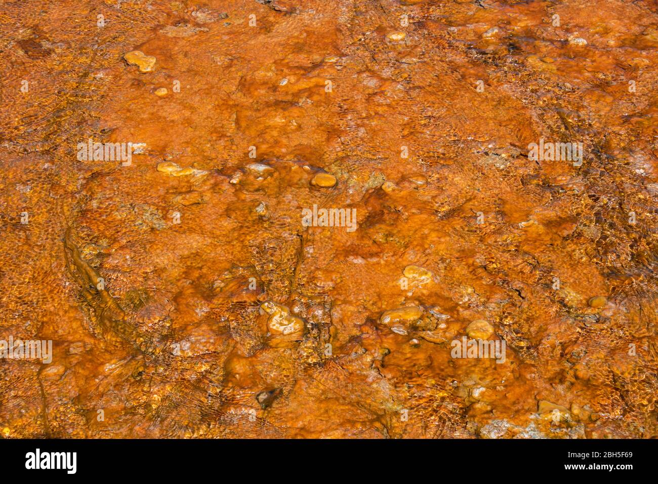 Abstract Amber Colored Hot Water Spring Detain Stock Photo