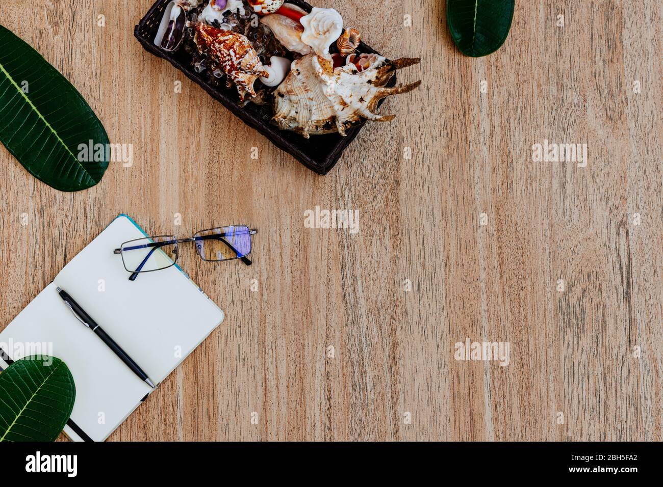 Flat lay, top view of an open white notebook with pen for writing cases for the day on a light wooden table. Work surface, with empty place for text, Stock Photo