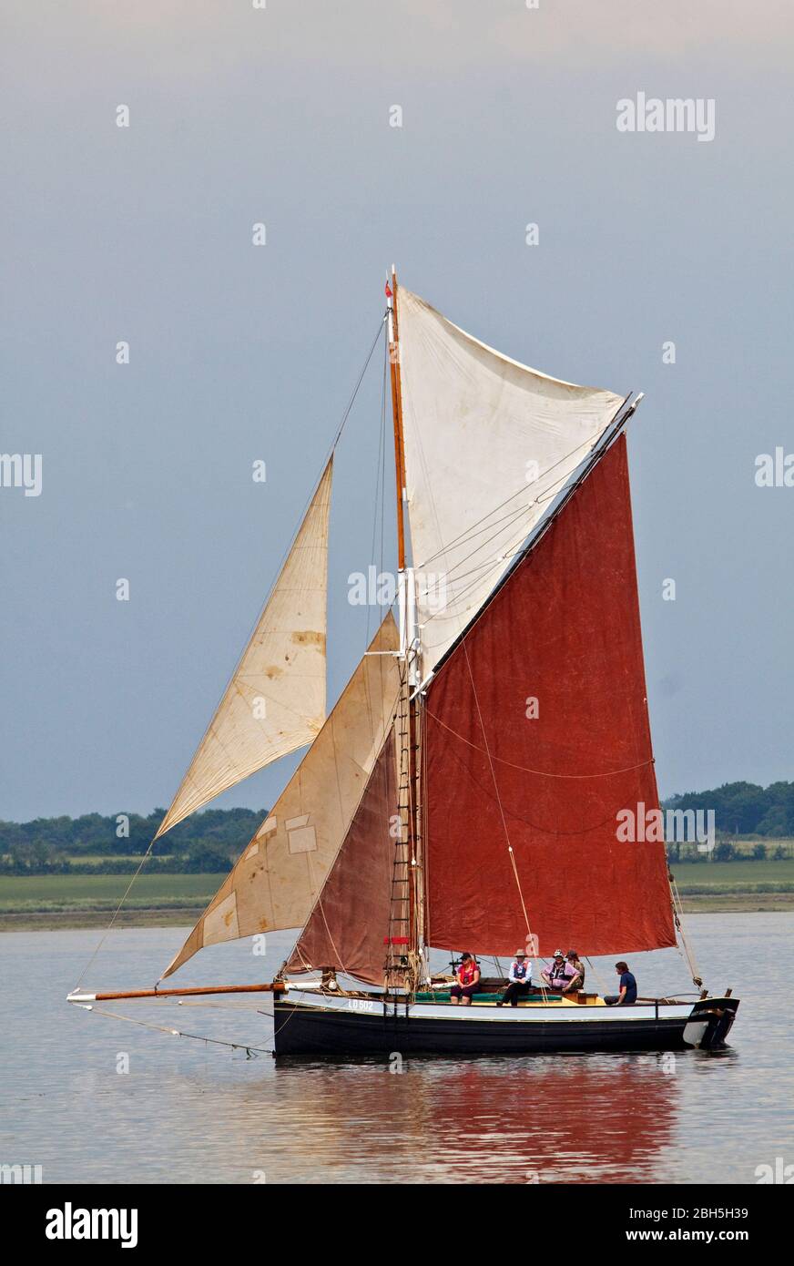 The Leigh bawley Mary Amelia, LO502, in full sail, Stock Photo
