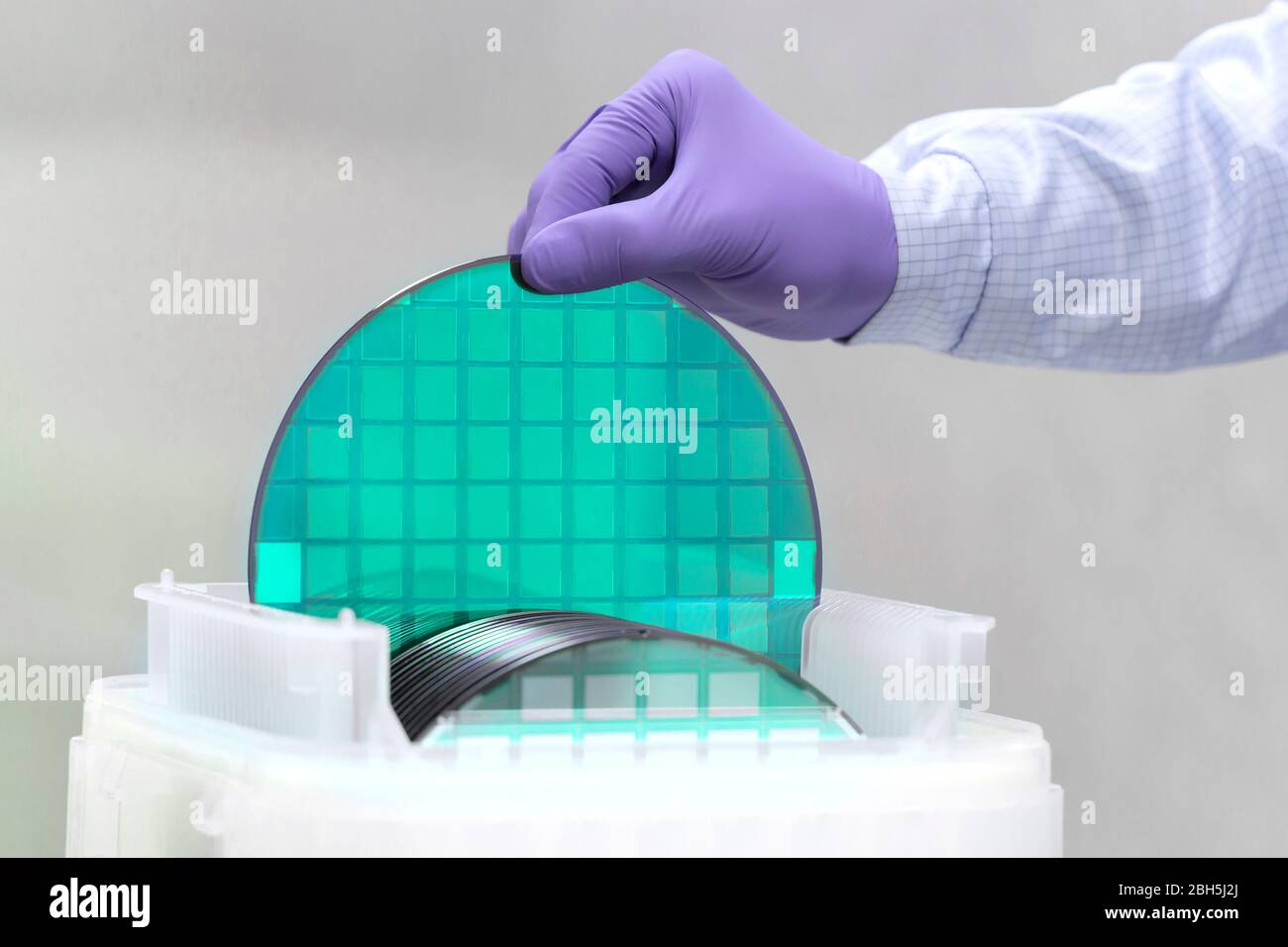 One of many silicon Wafer with semiconductors in plastic white storage box takes out by hand in gloves inside clean room. Stock Photo