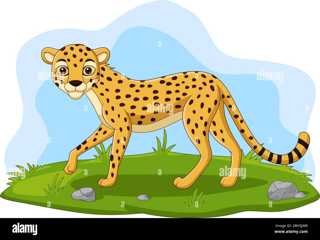 Cartoon cheetah in the grass Stock Vector Image & Art - Alamy
