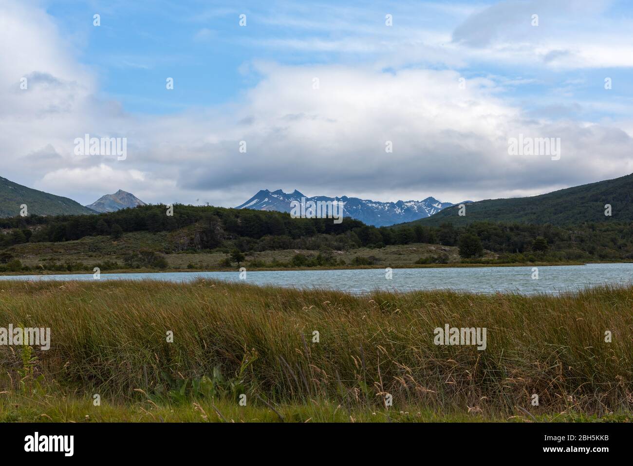Landscape on the Lapataia river in Tierra del Fuego National Park, Argentina Stock Photo