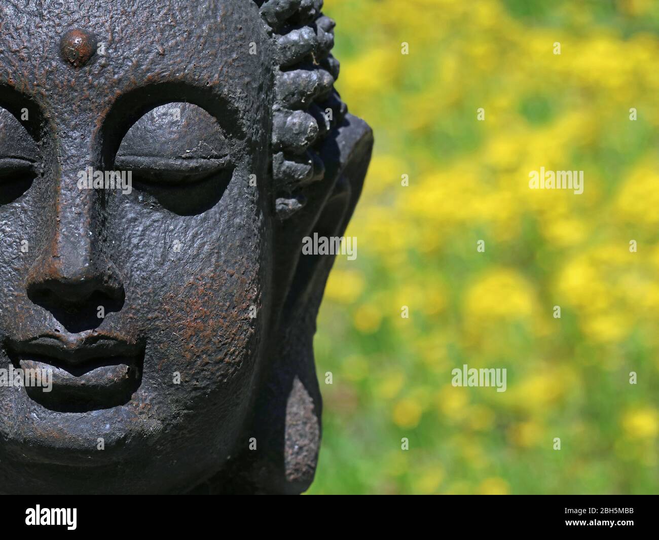 buddha statue head with natural yellow flower bokeh, close up with copy space Stock Photo