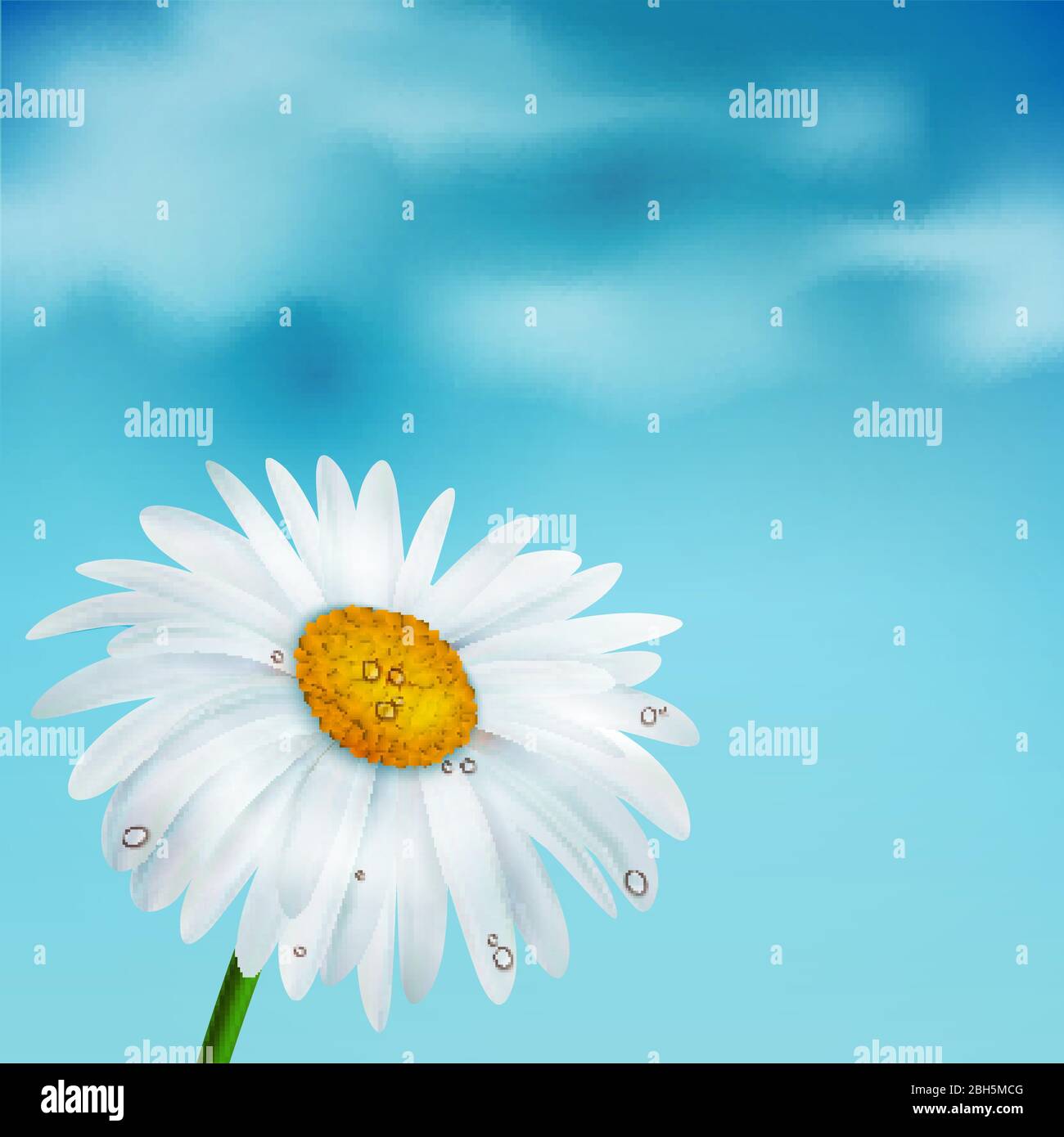Chamomiles on a blue sky background, vector illustration Stock Vector