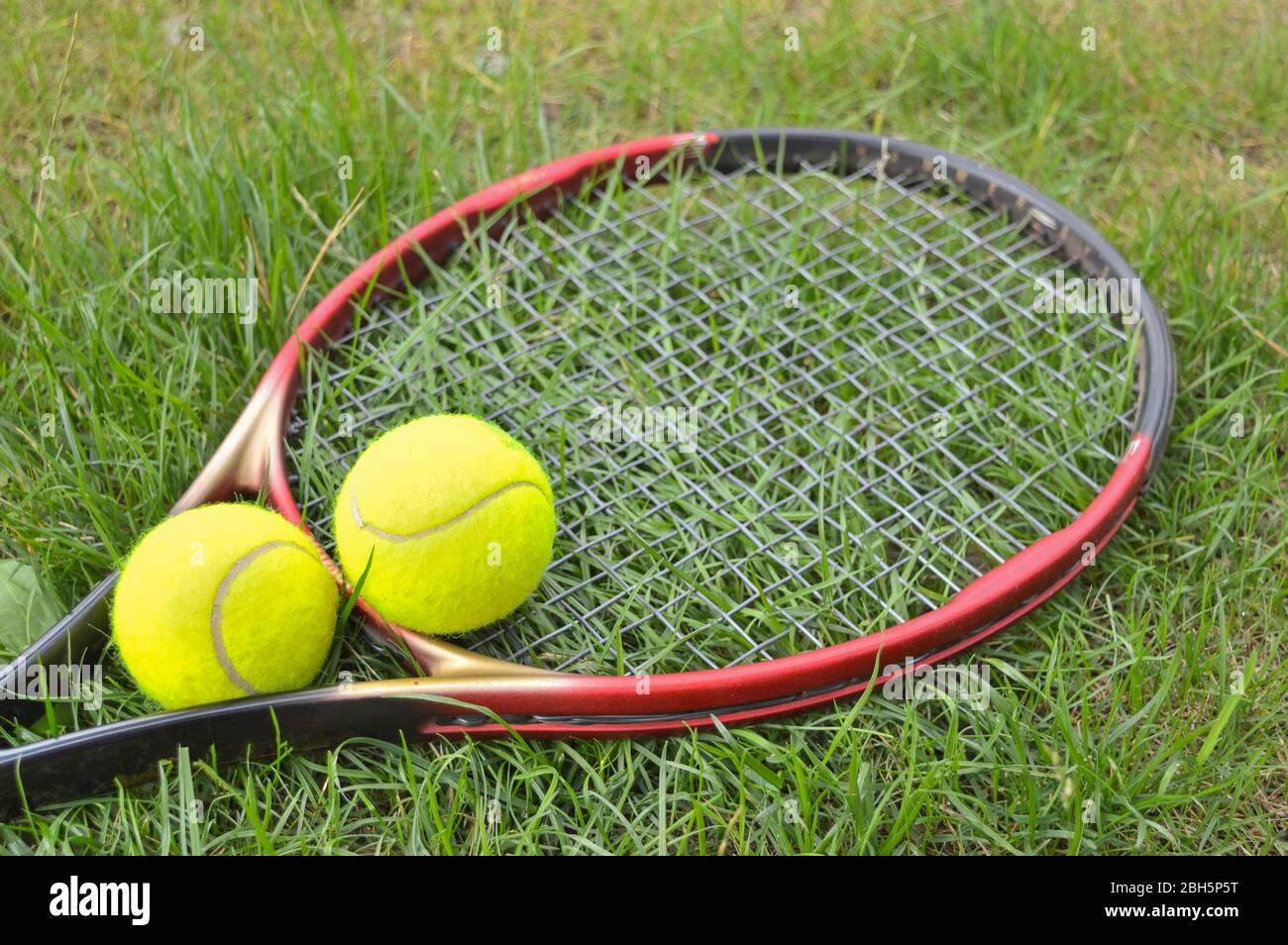 tennis racket and yellow balls lying on the grass, ready for training and games Stock Photo