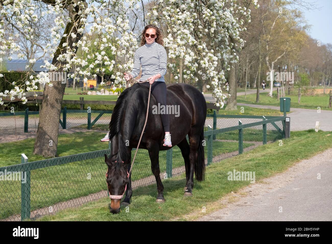 Pregnant horse rider hi-res stock photography and images - Alamy