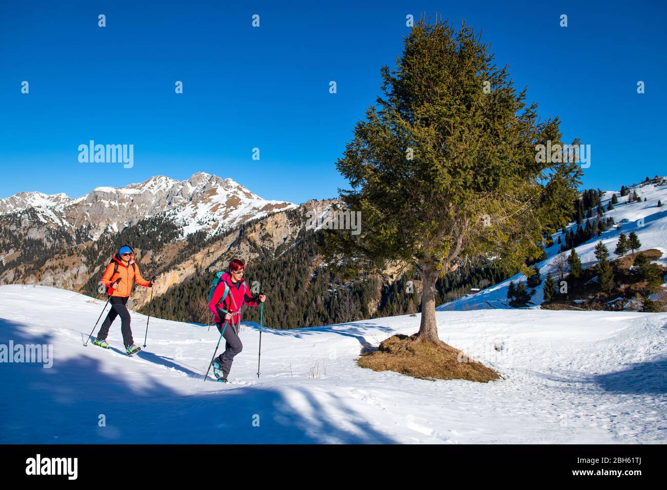 Energetic friends trekking hi-res stock photography and images - Alamy