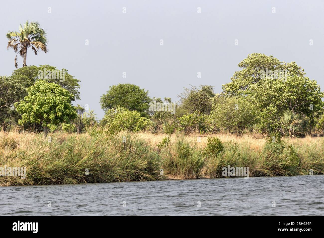 Landscape, Kafue River, Kafue National Park, Zambia, Africa Stock Photo ...