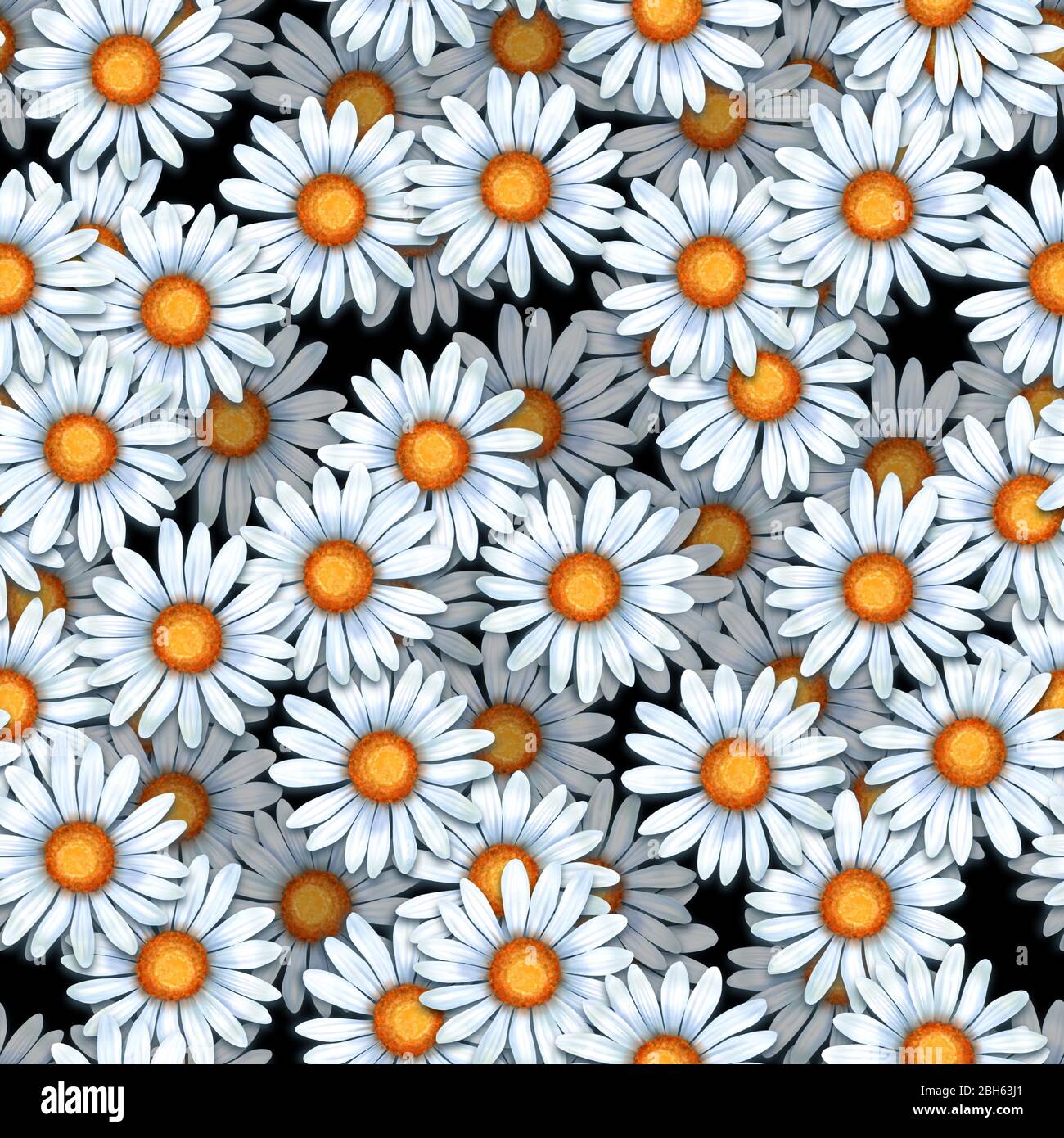 Daisy Pattern Tumblr