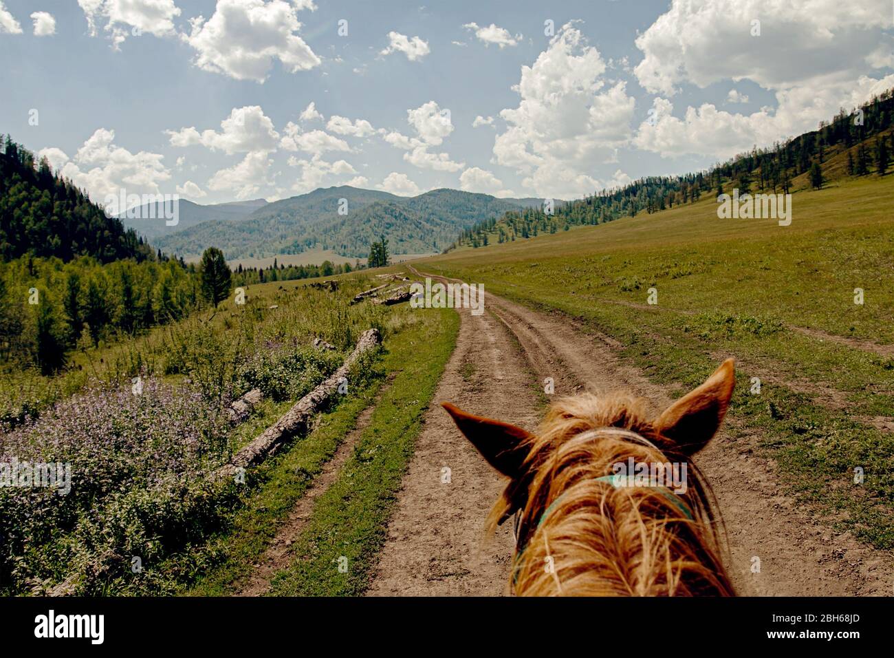 riding horse hiking summer mountain trail Stock Photo