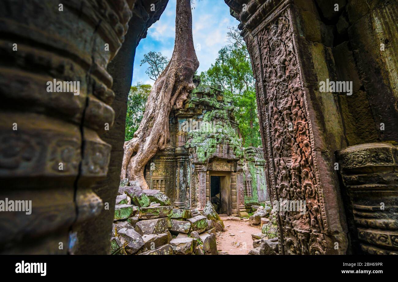 Entrance to the world famous heritage in Angkor Wat - Ta Prohm Stock Photo