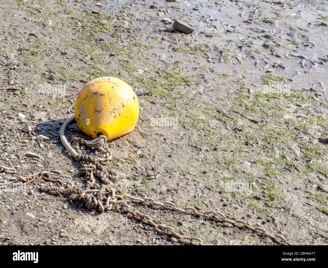 Low tide. Yellow mooring buoy and chains left high and dry on the mud. Tidal range. Stock Photo