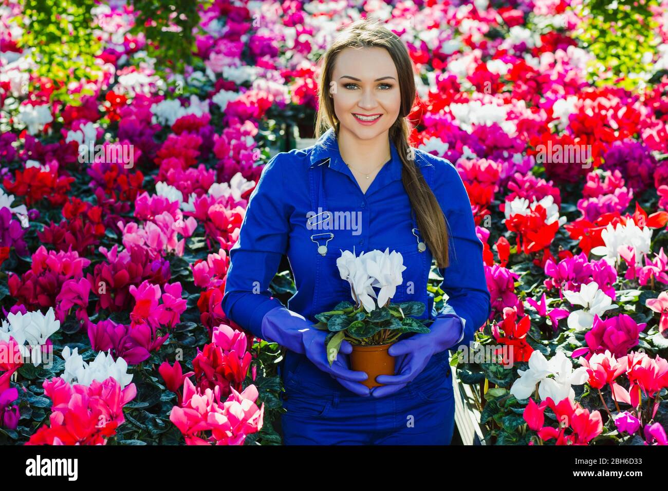 garden center worker holding a flower in a pot, standing in the center ...