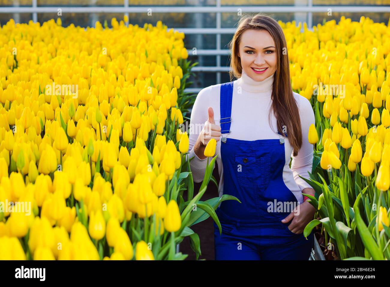 Woman gardener dressed in working uniform, smiling looking at camera, standing in big greenhouse. Industrial cultivation of flowers Stock Photo