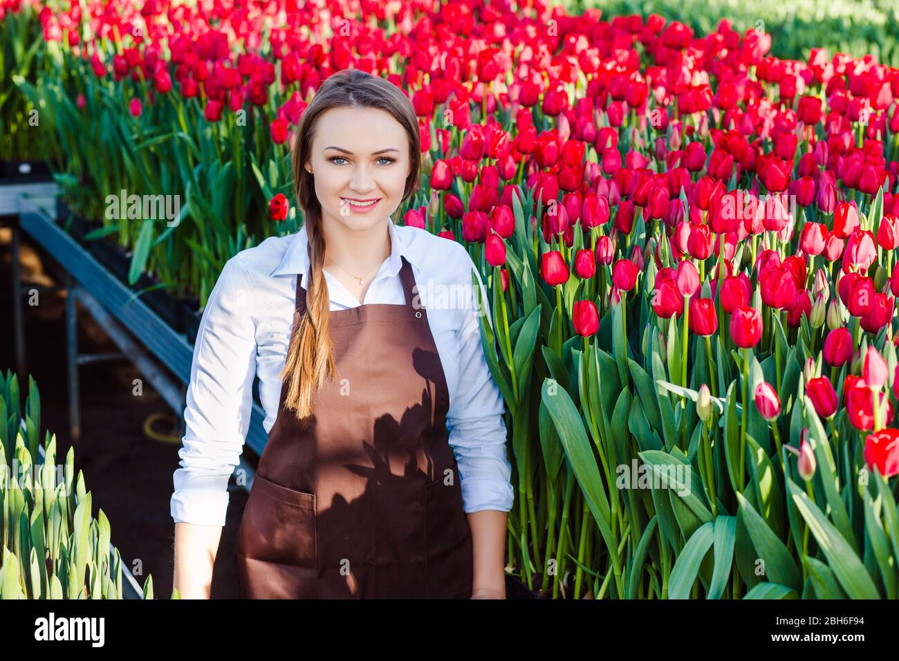 Woman gardener dressed in working uniform, smiling looking at camera, standing in big greenhouse. Industrial cultivation of flowers Stock Photo