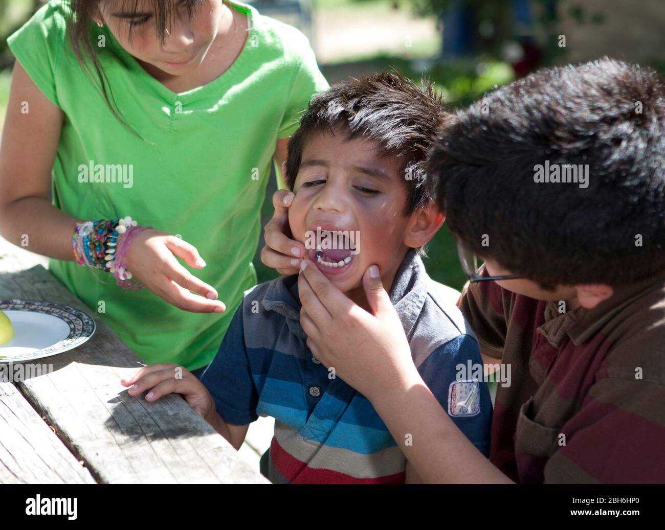 Austin, TX  April 22, 2009: Children examine the teeth of a four-year old Hispanic boy after he complained about a toothache at home. Model Release Available.   ©Bob Daemmrich Stock Photo