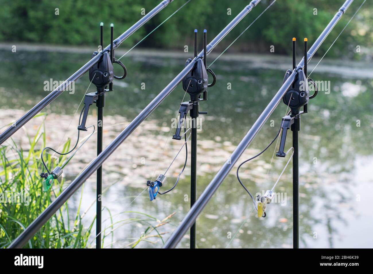 Professional carp fishing bite alarms, close-up from lakeside background. Carp  fishing background. Carp fishing photo collection Stock Photo - Alamy