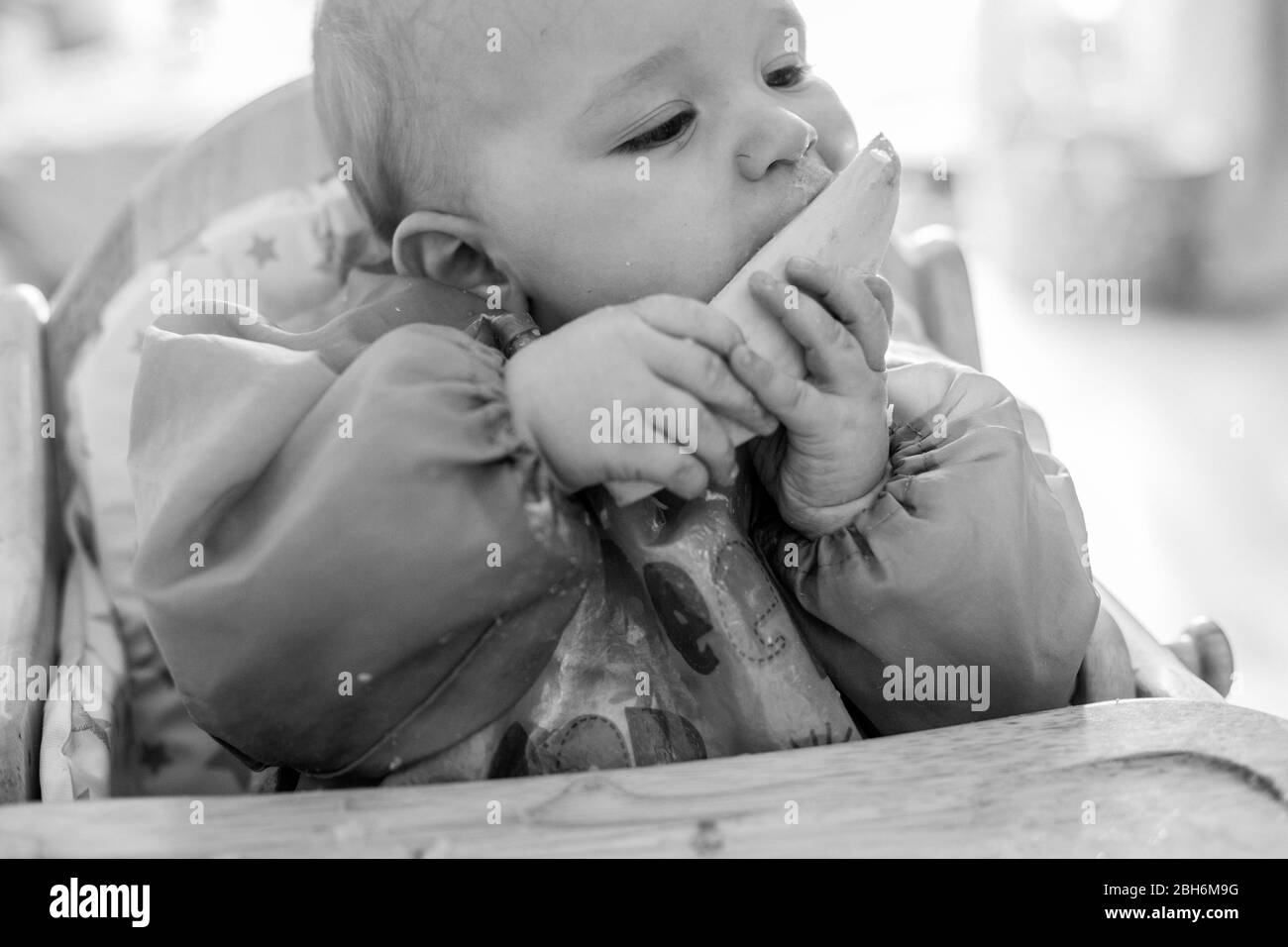 Cute baby eating from high chair Stock Photo