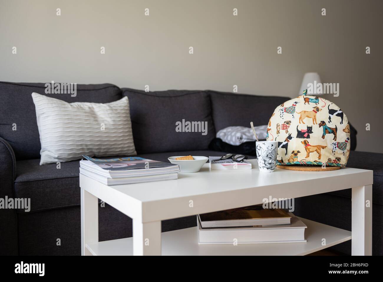 Cozy Home Setting Cozy Home Setting