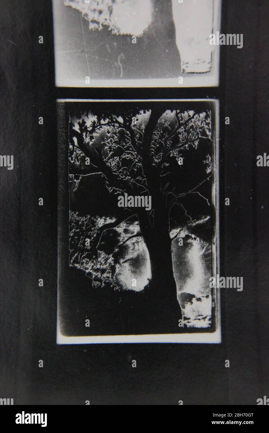 Fine 70s vintage extreme high contrast contact print photography Stock ...