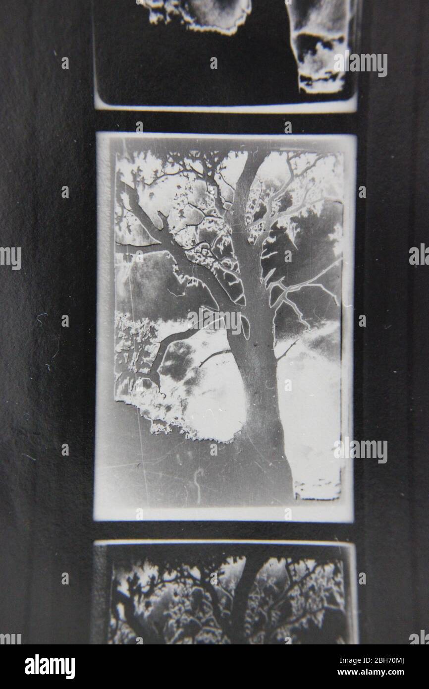 Fine 70s vintage extreme high contrast contact print photography Stock ...