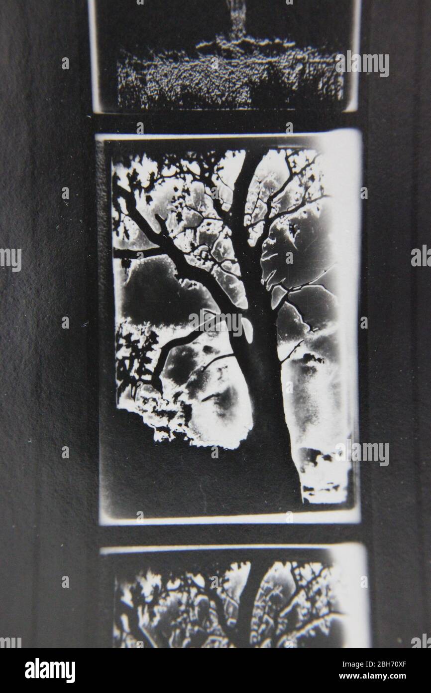 Fine 70s vintage extreme high contrast contact print photography Stock ...