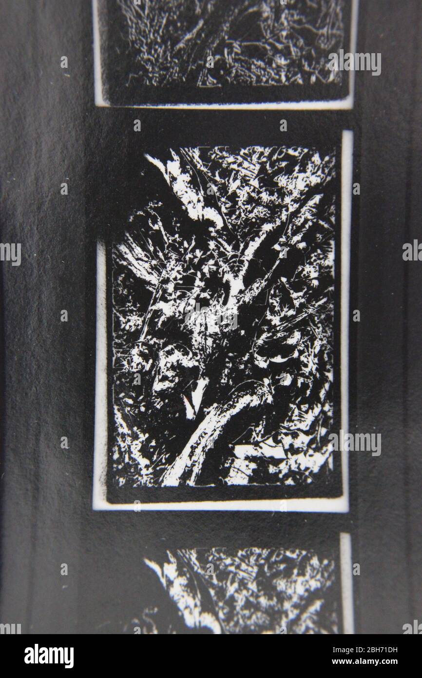 Fine 70s vintage extreme high contrast contact print photography of a ...
