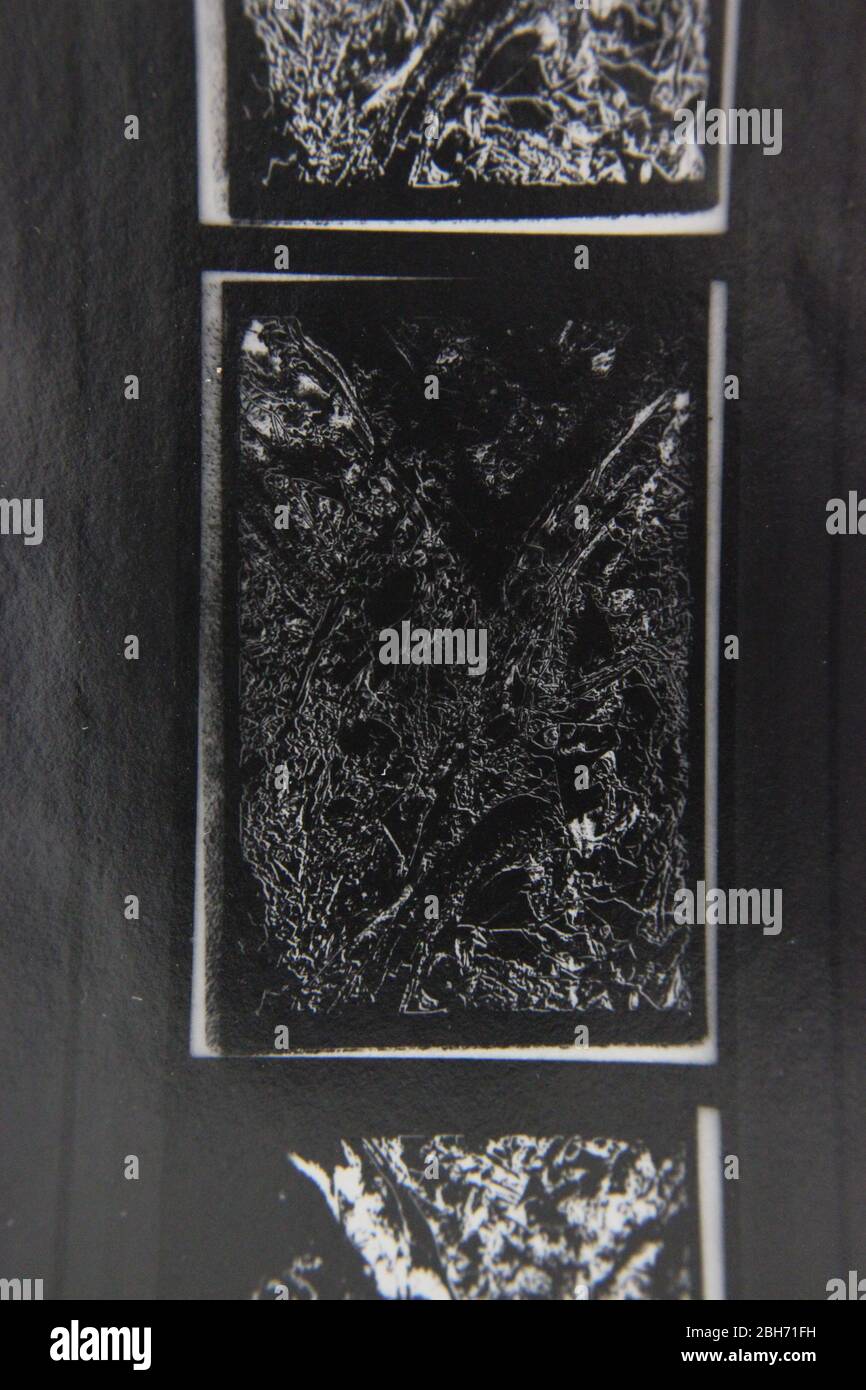 Fine 70s vintage extreme high contrast contact print photography of a ...