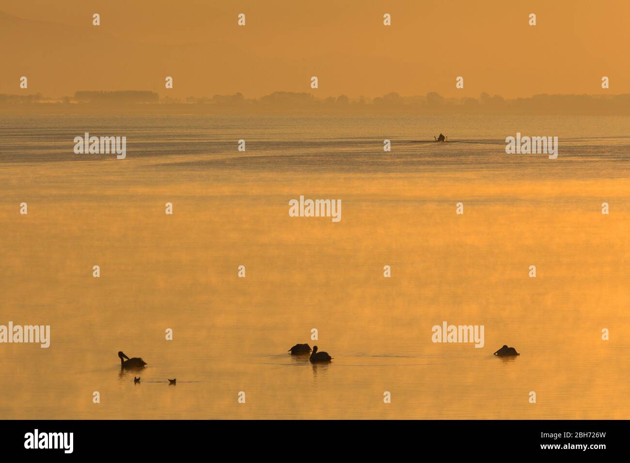 Golden light at sunrise hi-res stock photography and images - Alamy