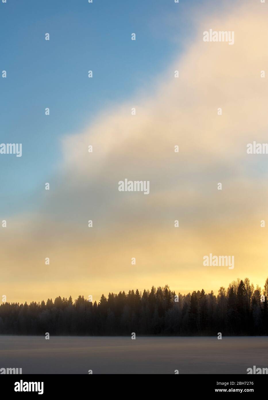 Forest skyline and last rays of sun , Finland Stock Photo - Alamy