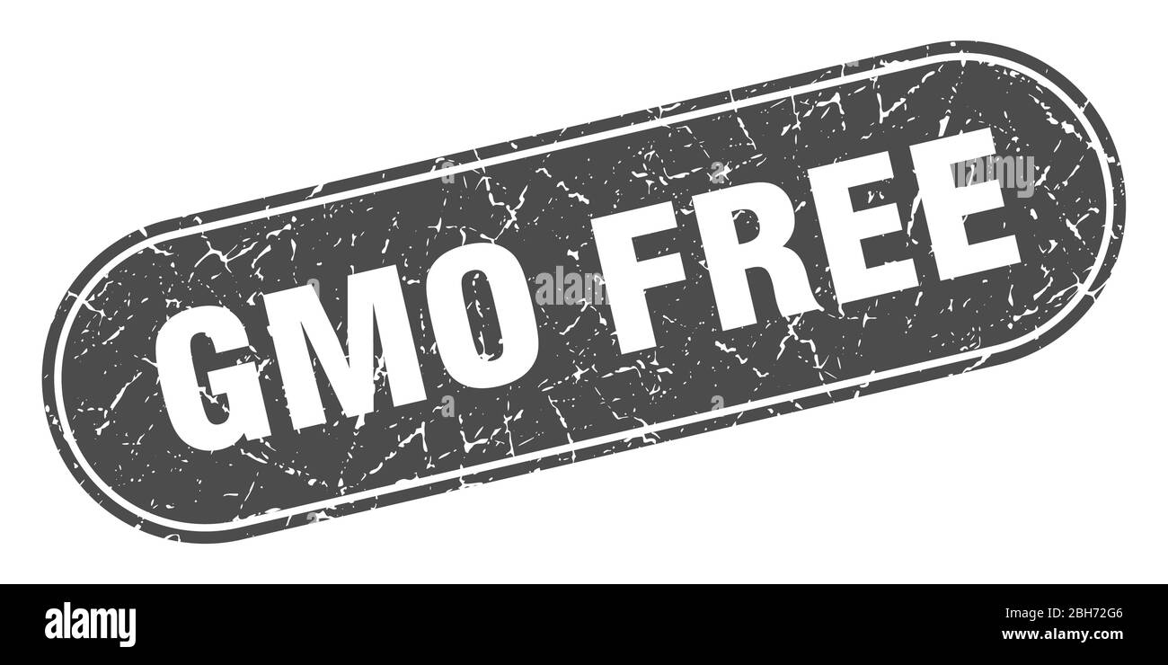 gmo free sign. gmo free grunge black stamp. Label Stock Vector Image ...