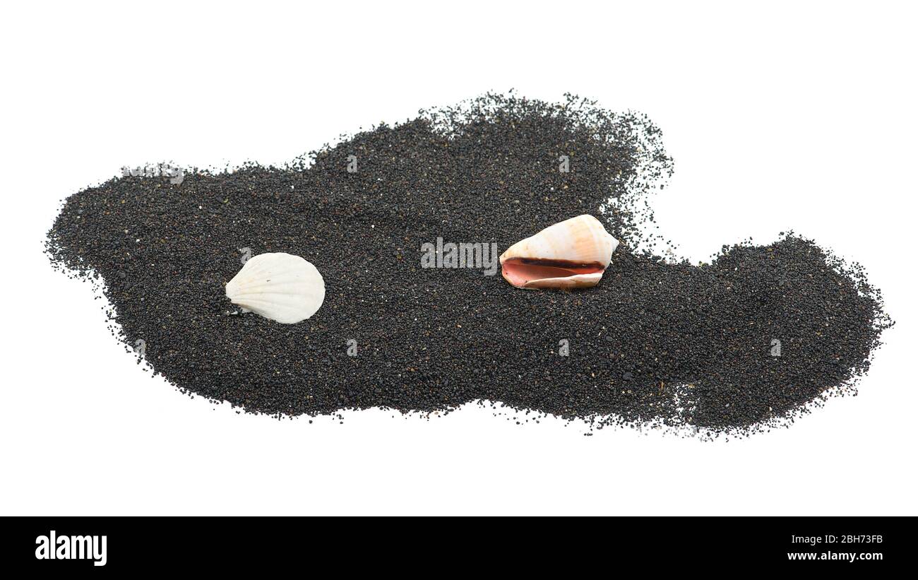 Volcanic ocean sand with shells isolated on white background Stock Photo