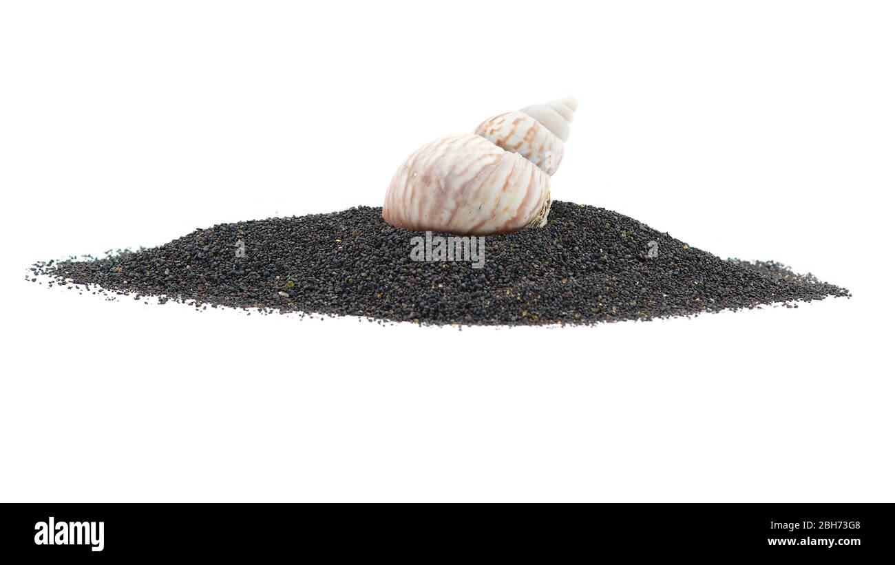 Volcanic ocean sand with shells isolated on white background Stock Photo