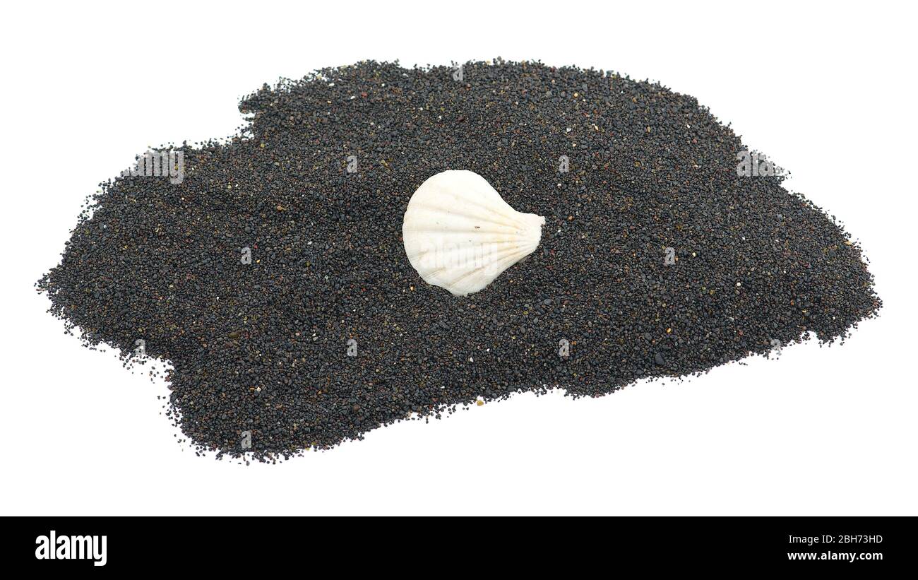 Volcanic ocean sand with shells isolated on white background Stock Photo