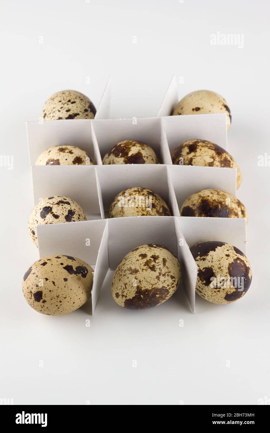 many quail eggs isolated on white background Stock Photo Alamy
