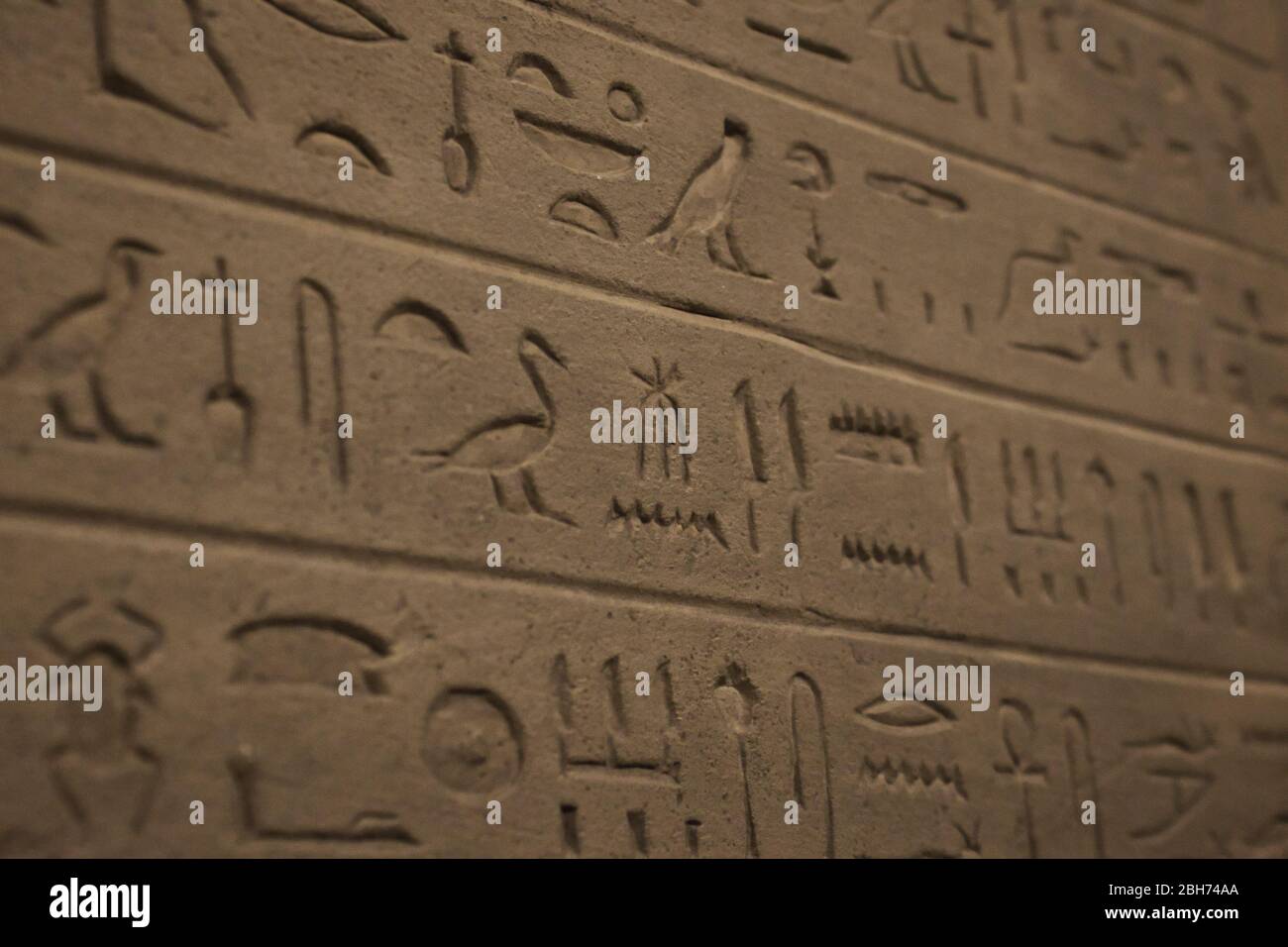 Close-up of ancient Egyptian hieroglyphics carved on a stone wall Stock Photo