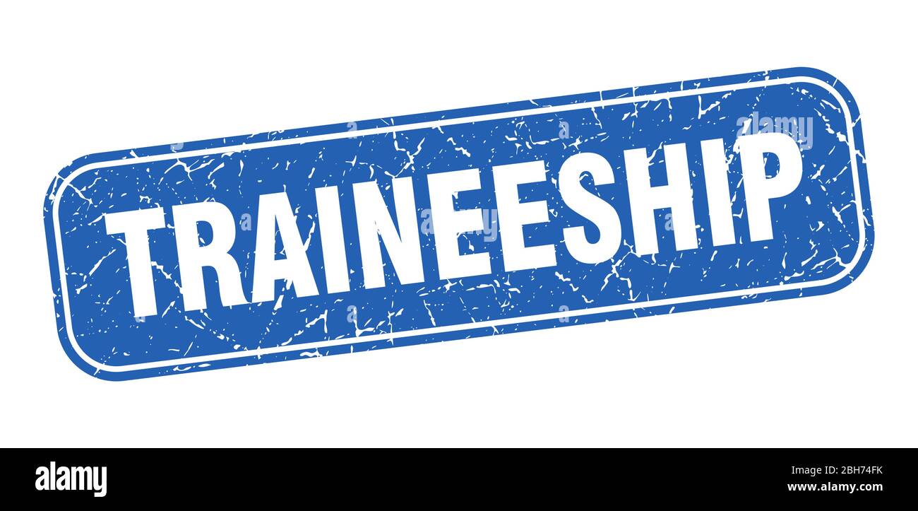 traineeship stamp. traineeship square grungy blue sign Stock Vector