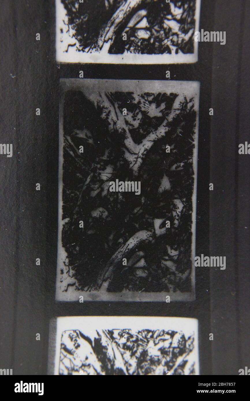 Fine 70s vintage extreme high contrast contact print photography of a ...