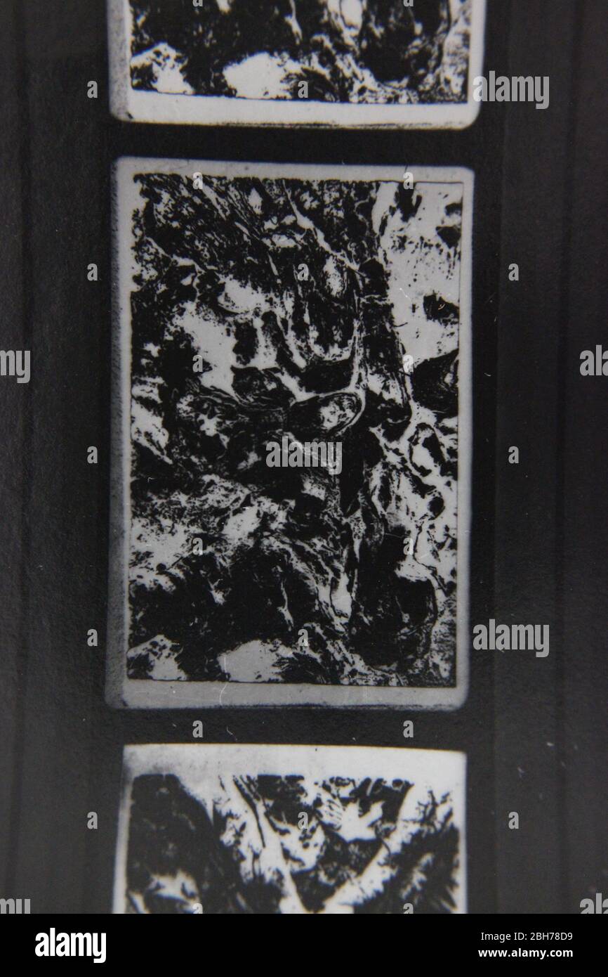 Fine 70s vintage extreme high contrast contact print photography of a ...